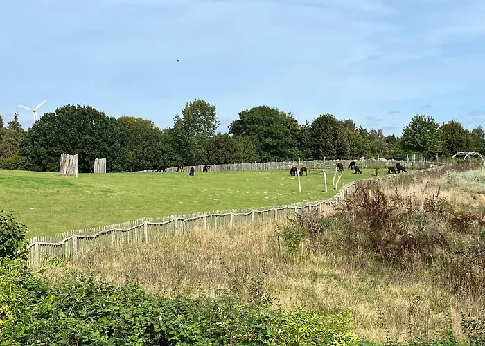 Reihenhaus Brookgang 34 Vakantiehuis